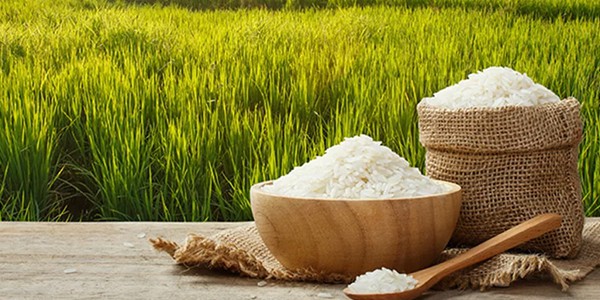 Traditional Basmati Rice