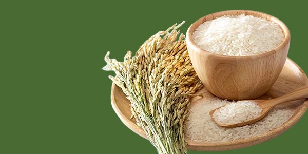 Fortified Rice Kernel